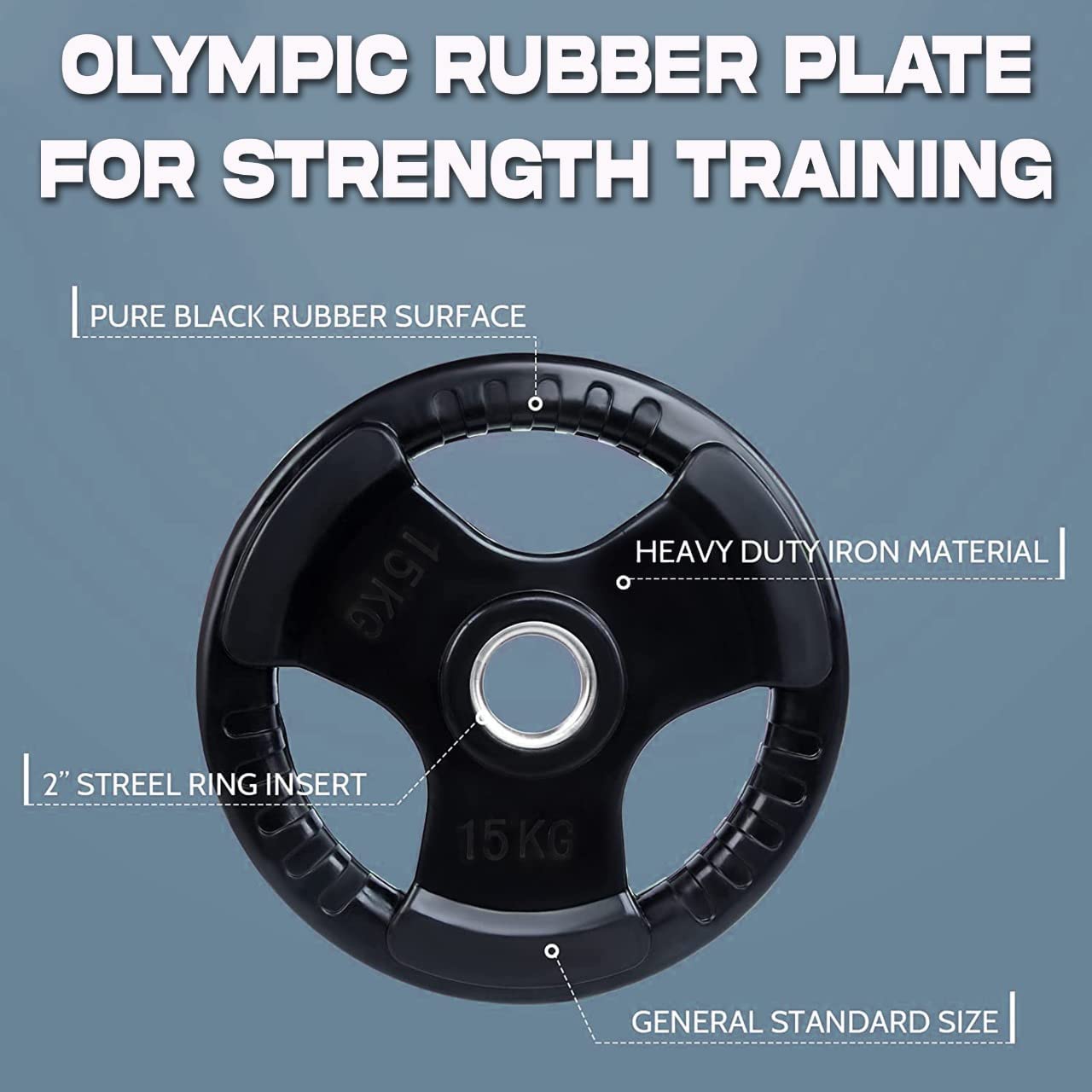 Rubber Gym Weight Plate Em 9264 15 Kgs Sky Land Skyland