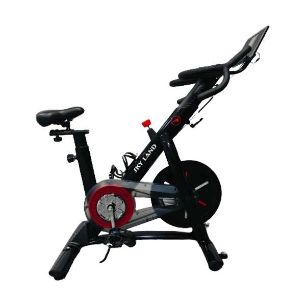 Skyland spin bike sale