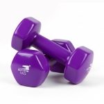 2kg Vinyl Dumbbell Set (1kg x 2) - Purple Anti-Roll Hex