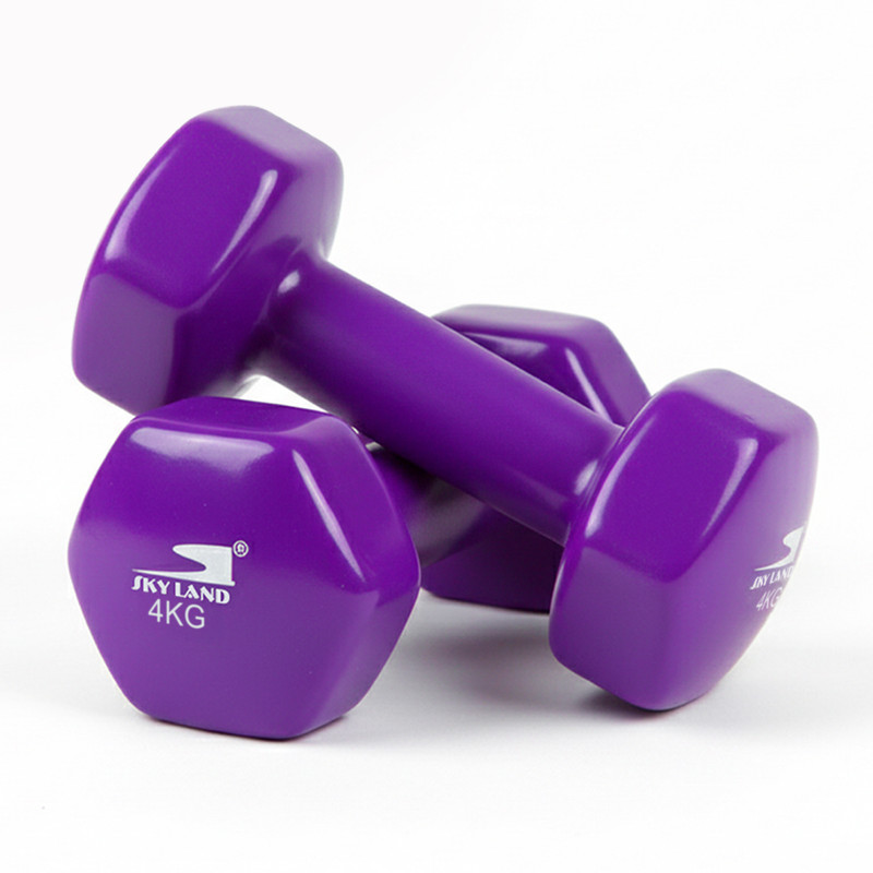 8kg Vinyl Dumbbell Set (4kg x 2) - Purple Anti-Roll Hex