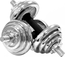SKY LAND Adjustable Chrome Dumbbell & Barbell Set 20KG with Storage Case, Home Gym Strength Training Free Weights, Anti-Slip Handles & Spinlock Collars, Silver EM-9227-20