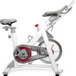 Magnetic Exercise Bike: Versatile Indoor Cycling Stationary Bike for All, Home Cardio Workout with Belt Drive System and Adjustable Comfort-EM-1568-W