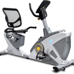 Exercise Bike/Semi-Commercial Grade Magnetic RecumbentBike, Indoor Bike 120kg weight Capacity, Easy Adjustable Seat, DigitalMonitor, Pulse Rate Monitoring-EM-1543 Silver